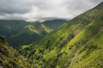 Fototapeta premium Mountain pass in Georgia in summer. Abano pass in the Caucasus mountains.Landscape of mountain hills.