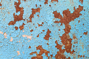 Fototapeta premium metal turquoise painted rusty