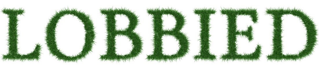 Lobbied - 3D rendering fresh Grass letters isolated on whhite background.