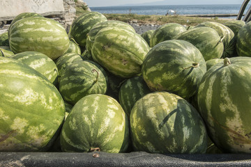 Wassermelonen auf einem Kleinlastwagen, in Ouranoupoli, Griechenland