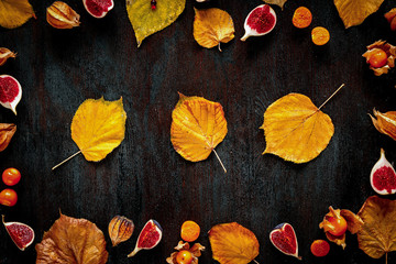 Fototapeta na wymiar Autumn background: leaves, berries, dark wood