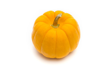 pumpkin white background ,halloween  isolated.