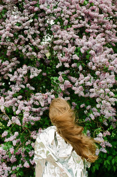 Lilac season
