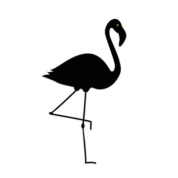flamingo schwarz