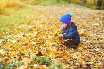 Cute happy boy playing with fallen leaves in autumn park.