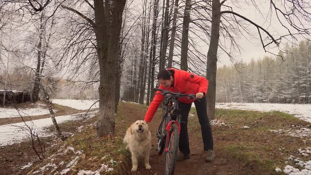 The woman costs with bicycle of a pn a background of the avenue from trees. The woman in an orange jacket walks with bicycle. The hostess walks the dog. Avenue in the countryside..