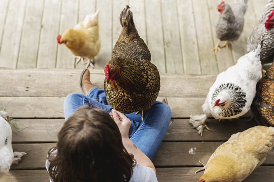 Overhead view of girl playing with hens in free range