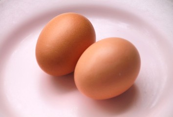 Egg