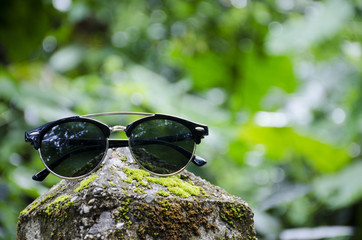 sunglasses bear and green Bokeh background
