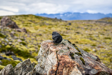 A lava stone standing against the backdrop of Icelandic landscapes and vegetation.