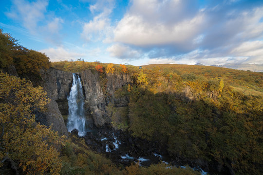Beautiful Autumn at Skaftafell national park in Iceland, The way to visit Svartifoss waterfall. 
