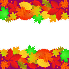 Naklejka na ściany i meble Vector drawing frame from autumn different leaves. Oak, maple orange leaves