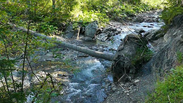 Mountain  stream with  fallen tree . Slow motion