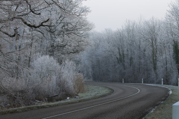 Fototapeta premium Route Hiver