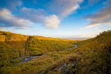Beautiful Autumn at Skaftafell national park in Iceland, The way to visit Svartifoss waterfall. 