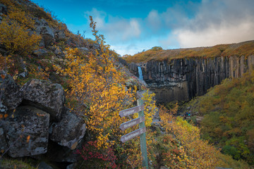 Beautiful Autumn at Skaftafell national park in Iceland, The way to visit Svartifoss waterfall. 