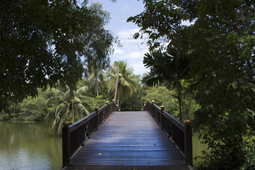Sri Nakhon Khuean Khan Park and Botanical Garden or khung bang kachao park at Samut Prakan, Thailand