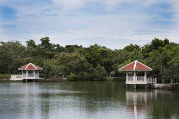 Fototapeta na wymiar Sri Nakhon Khuean Khan Park and Botanical Garden or khung bang kachao park at Samut Prakan, Thailand