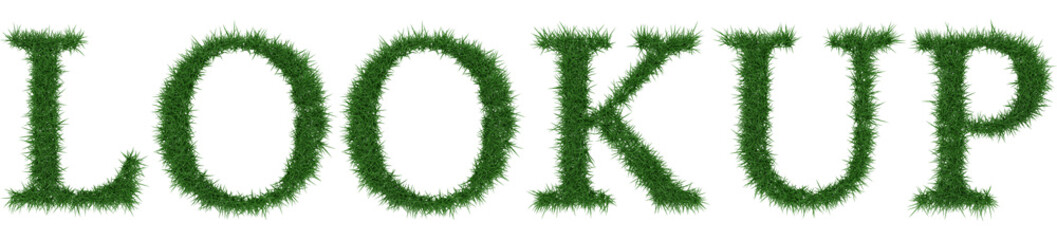 Lookup - 3D rendering fresh Grass letters isolated on whhite background.