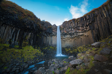 Svartifoss waterfall in Skaftafell national park in Iceland, Famous Svartifoss waterfall. Another named Black fall. Located in Skaftafell.