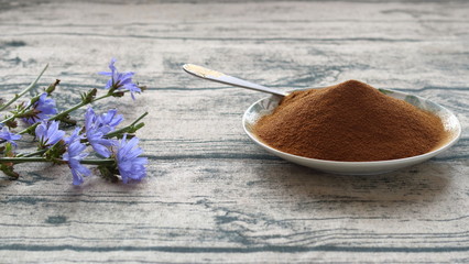Chicory powder and flowers