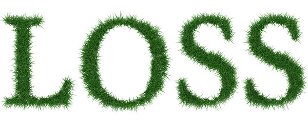 Loss - 3D rendering fresh Grass letters isolated on whhite background.