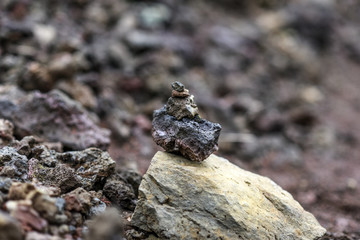 Stones of different sizes and colors, volcanic stones, Iceland.