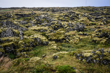 Fototapeta na wymiar Field of volcanic volcanic lava, Iceland