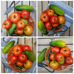 A collage of Tomatoes and cucumbers