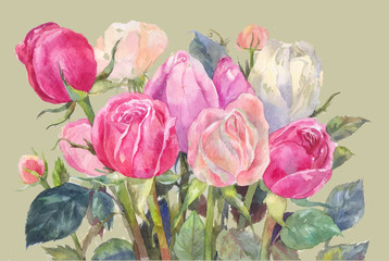 pink roses watercolor illustration