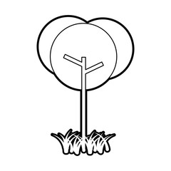 tree grass natural foliage park plant vector illustration