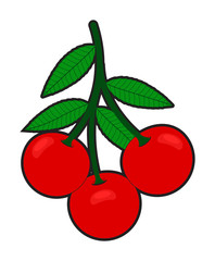 Red Cherries Branch Vector