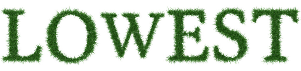 Lowest - 3D rendering fresh Grass letters isolated on whhite background.