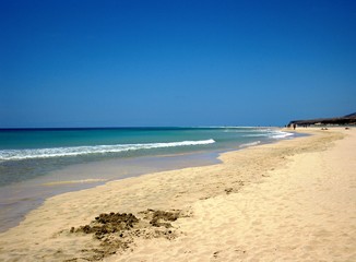 Fototapeta na wymiar Sotavento beach, Fuerteventura, Canary Islands