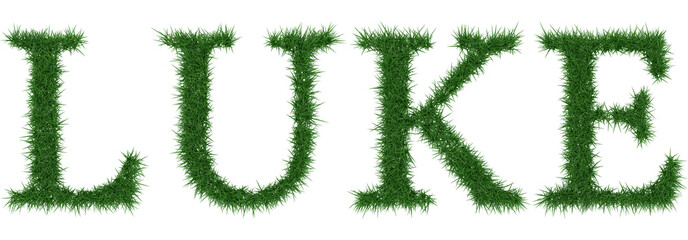 Luke - 3D rendering fresh Grass letters isolated on whhite background.