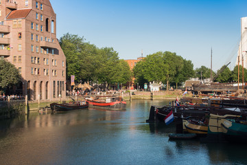 Fototapeta premium Landscape in Rotterdam Netherlands