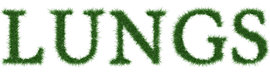 Lungs - 3D rendering fresh Grass letters isolated on whhite background.