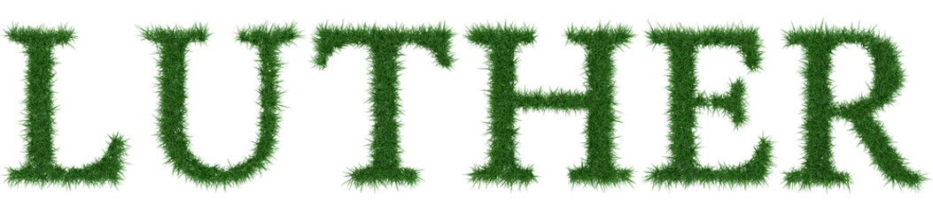 Luther - 3D rendering fresh Grass letters isolated on whhite background.