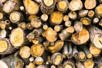 holz st&uuml;cke hintergrund struktur
