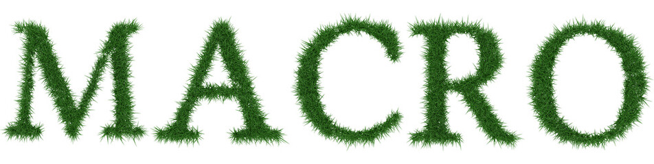 Macro - 3D rendering fresh Grass letters isolated on whhite background.