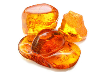 four pieces of amber with different inclusions,  beetle,  fly,  mosquito,  ant,  larva. Several...