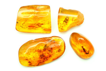 four pieces of amber with different inclusions,  beetle,  fly,  mosquito,  ant,  larva. Several pieces of amber on a white background. Sunstone with insects . Ancient insects inside fossil pitch.