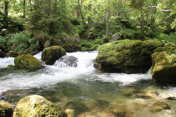 Obraz premium Flusslauf