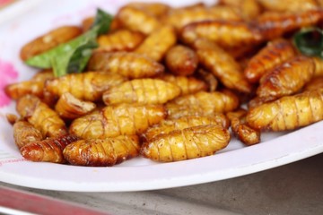 Fried Insect at street food
