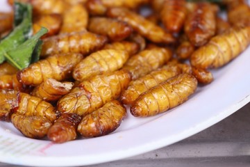 Fried Insect at street food