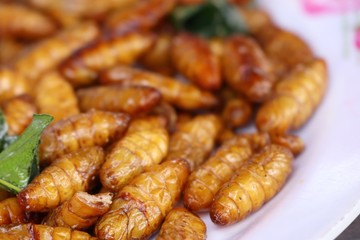 Fried Insect at street food