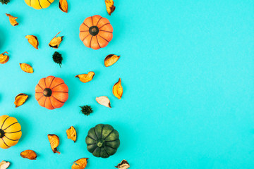 Decorative pumpkins on trendy blue background with fall leaves.