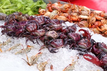 Fresh crab at the market