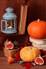 Autumn still life. Pumpkins and a lamp on a checkered plaid