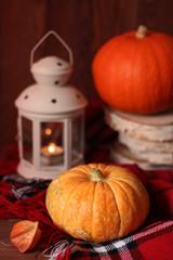 Autumn still life. Pumpkins and a lamp on a checkered plaid